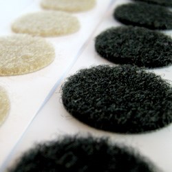 Wapsi Crab Coins - Image 2