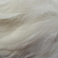 Wapsi Strung Schlappen (Long)