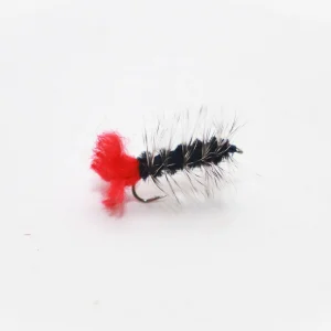 Wooly Worm Nymph