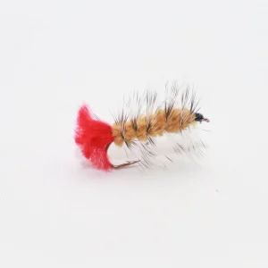 Wooly Worm Yellow