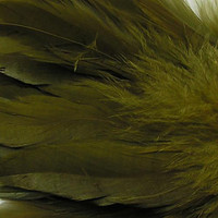 Variation #1148 of Wapsi Strung Schlappen (Long)