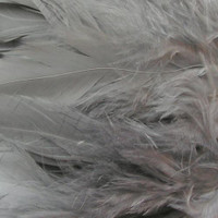 Variation #1154 of Wapsi Strung Schlappen (Long)