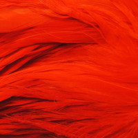 Variation #1160 of Wapsi Strung Schlappen (Long)