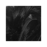 RABBIT ZONKERS CROSS-CUT, BLACK