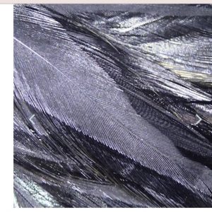 Variation #1080 of Wapsi Strung Rooster Saddle Hackles (Long)