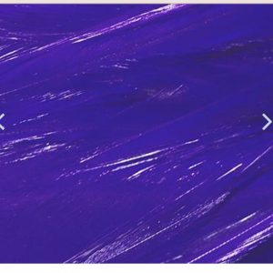 Variation #1082 of Wapsi Strung Rooster Saddle Hackles (Long)