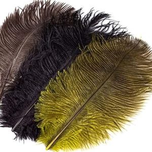Ostrich Plumes